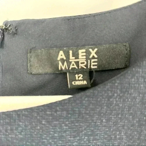 Alex/Marie Women's Navy Blue Shift Sleeveless Lined Career Dress Size 12 - Picture 8 of 9